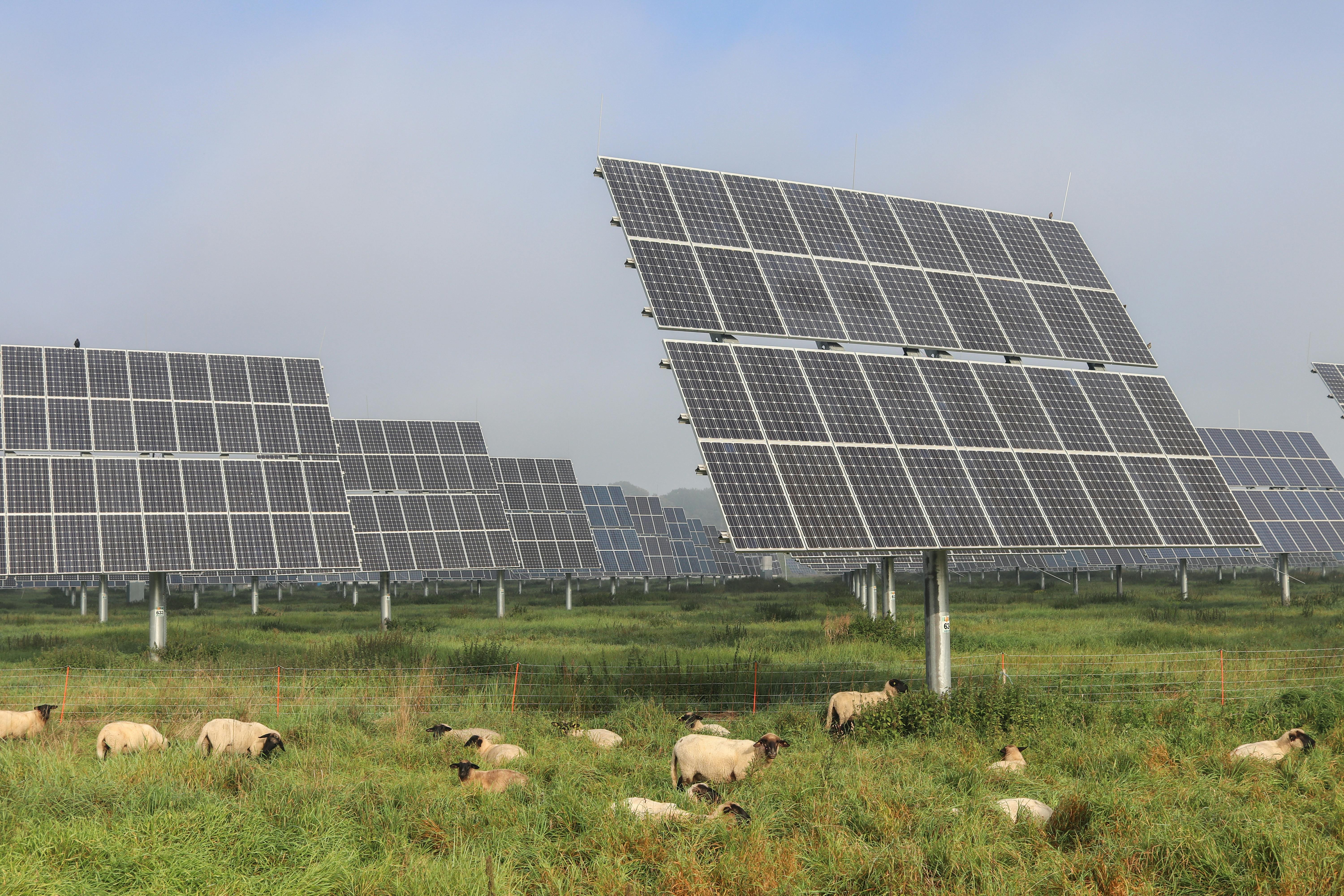 Fotovoltaica