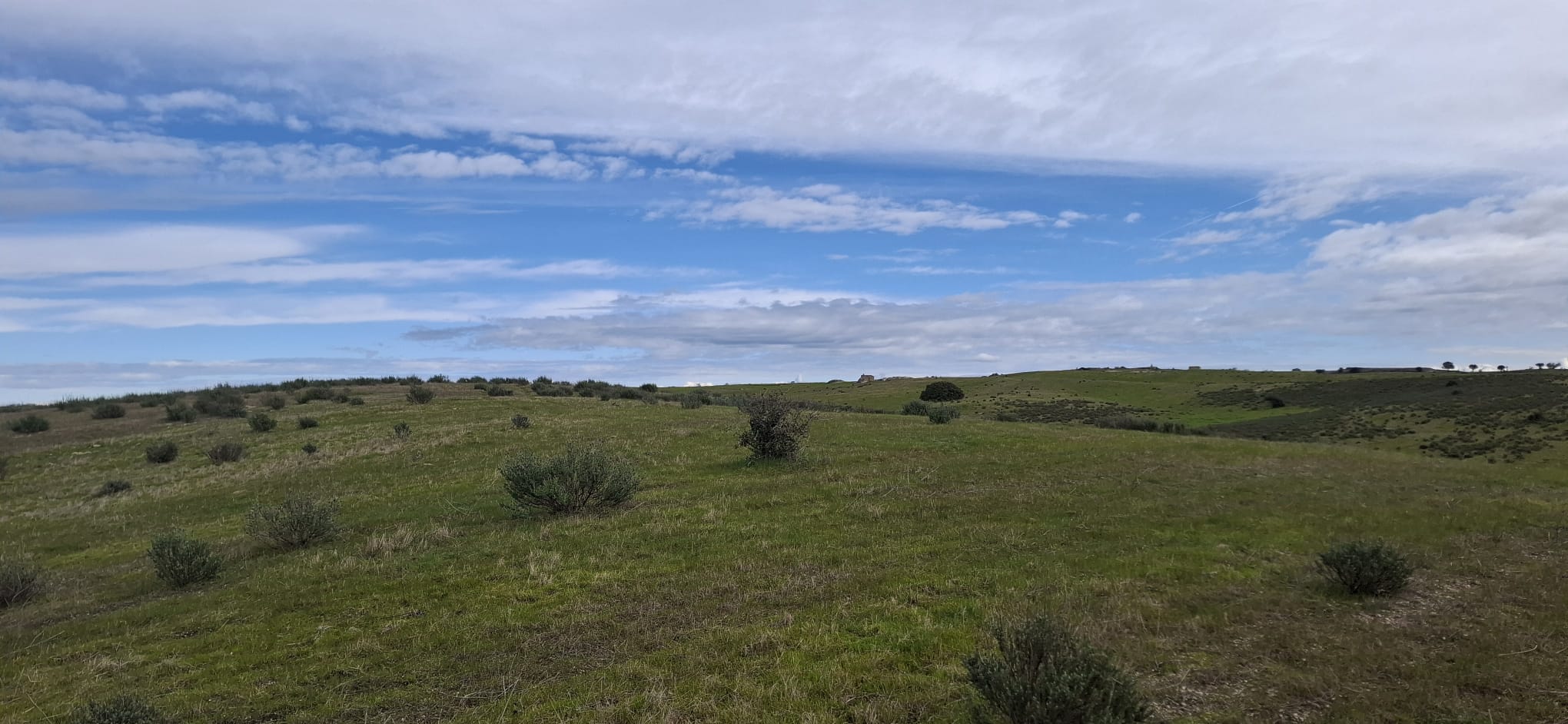 Vista de la finca